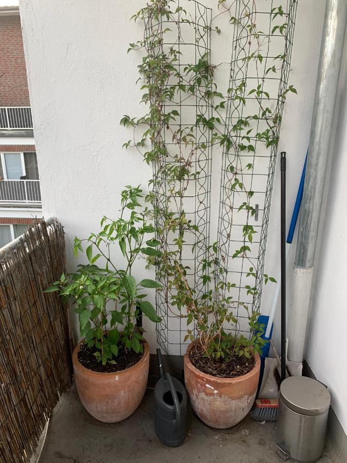 Zentrales Apartement BRE Εξωτερικό φωτογραφία